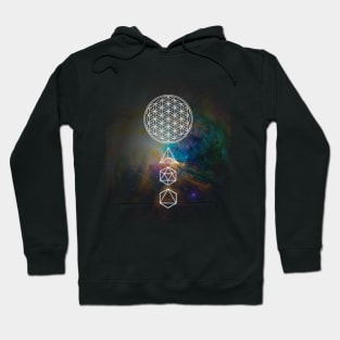 Flower of Life Platonic Solids Sacred Geometry Hoodie